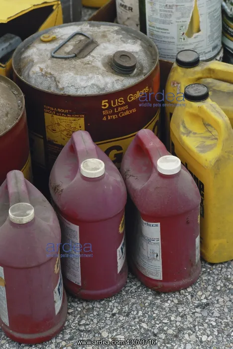 : Hazardous Household Waste : Hazardous Household Waste