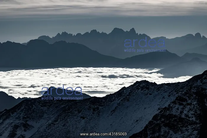 : Haze in the valley with South Tyrolean mountains : Haze in the valley with South Tyrolean mountains