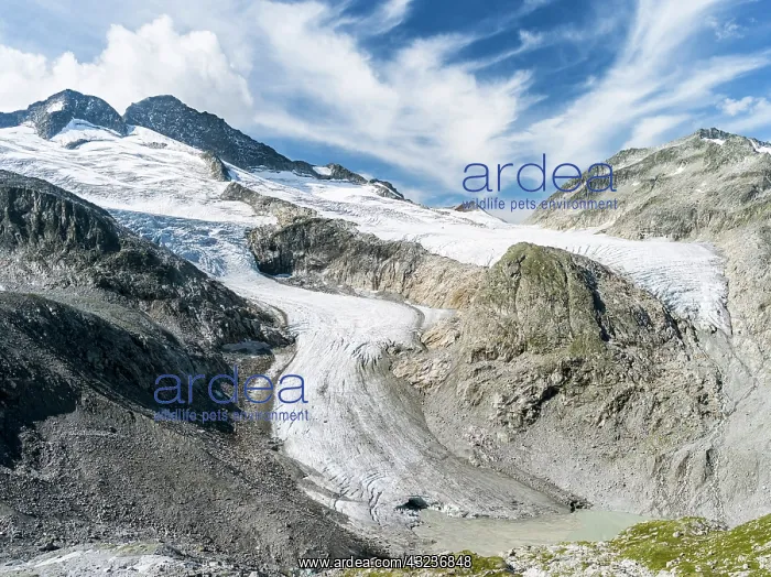 : Head of valley Obersulzbachtal in Nationalpark : Head of valley Obersulzbachtal in Nationalpark