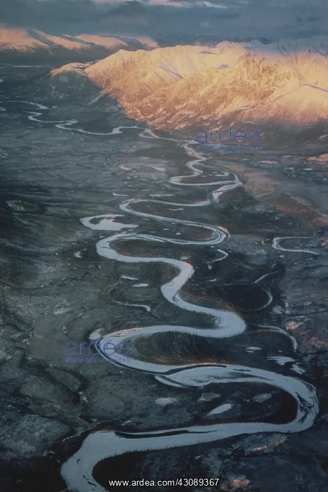 : Headwaters of the Kobuk River : Headwaters of the Kobuk River