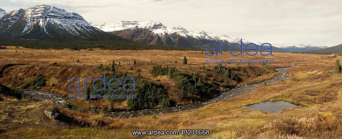 : Headwaters of the Skeena River, Sacred Headwaters : Headwaters of the Skeena River, Sacred Headwaters