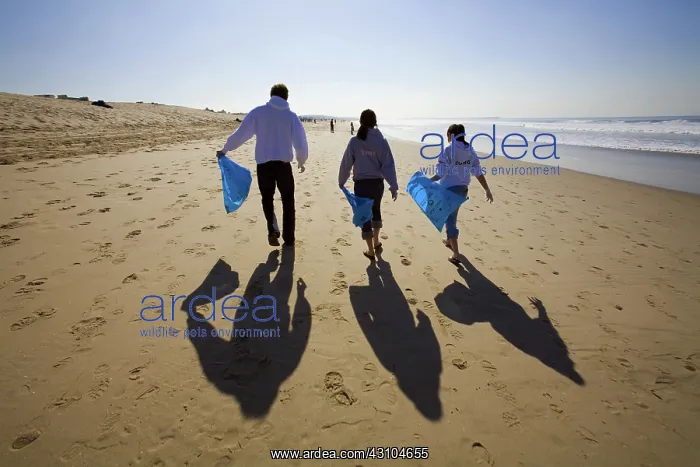 : Heal the Bay Clean-up, Venice Beach : Heal the Bay Clean-up, Venice Beach