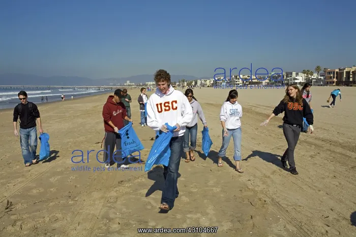 : Heal the Bay Clean-up, Venice Beach : Heal the Bay Clean-up, Venice Beach