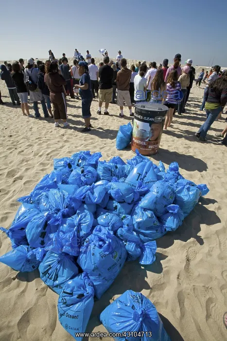 : Heal the Bay Clean-up, Venice Beach : Heal the Bay Clean-up, Venice Beach