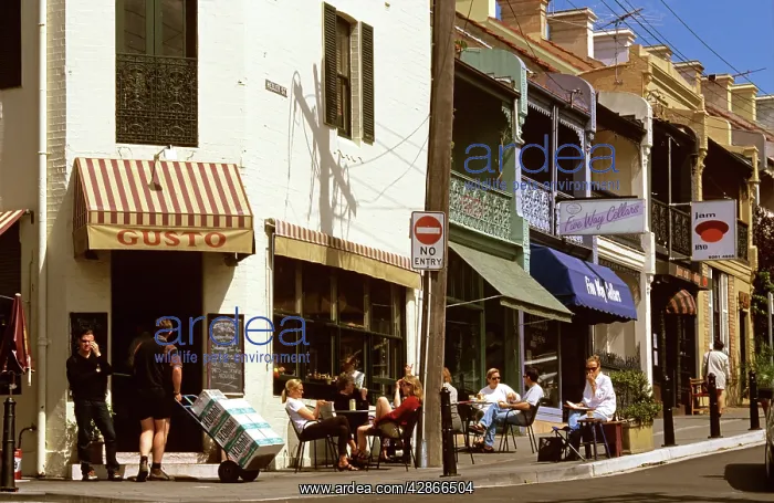 : Healey / Broughton Streets corner in Paddington Sydney : Healey / Broughton Streets corner in Paddington Sydney