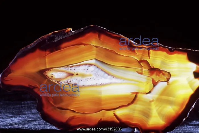 : Heart of Agate : Heart of Agate