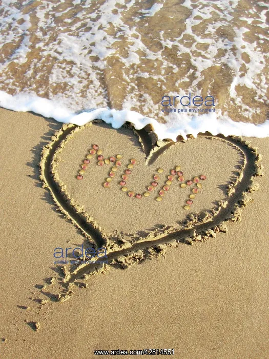 : Heart drawn in the sand of a beach with Mum inside : Heart drawn in the sand of a beach with Mum inside