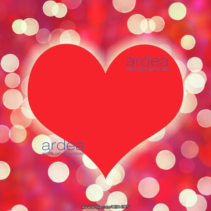  : Heart on glowing light background, bokeh
