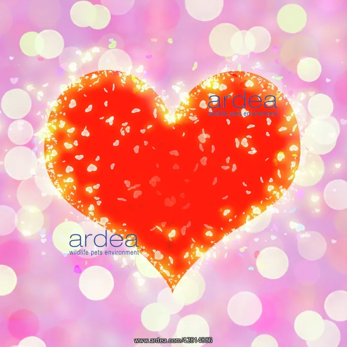  : Heart on glowing light background, bokeh