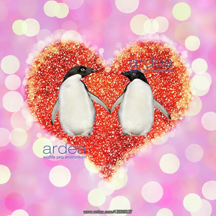 : Heart on glowing light background with glitter : Heart on glowing light background with glitter