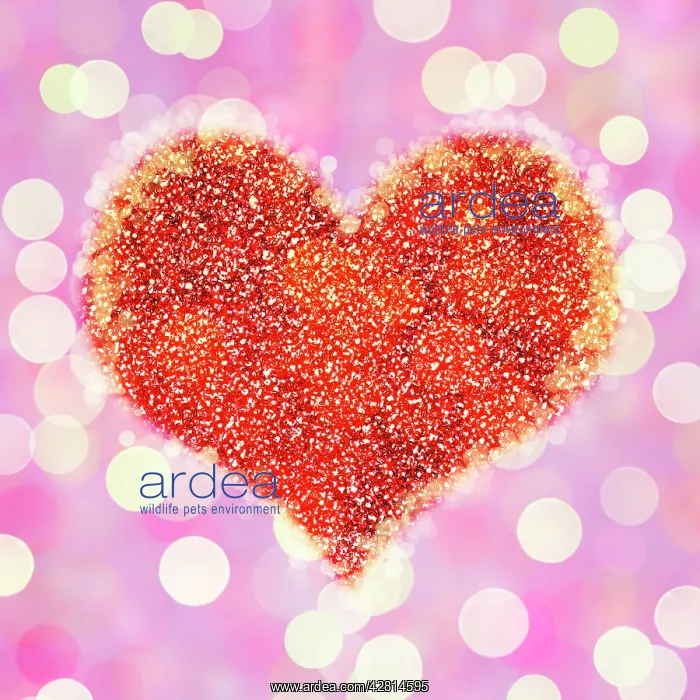  : Heart on glowing light background with glitter and bokeh