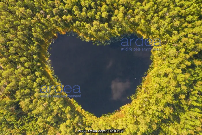 : Heart lake Sweden : Heart lake Sweden
