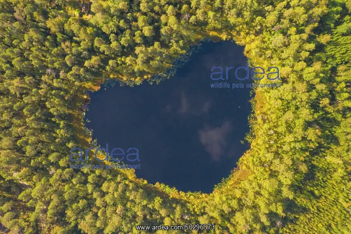 : Heart lake Sweden : Heart lake Sweden