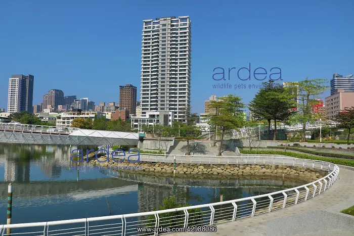  : The Heart of Love River, Kaohsiung City, Taiwan