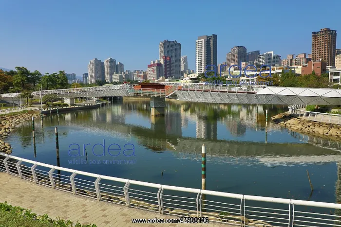 : The Heart of Love River, Kaohsiung City, Taiwan : The Heart of Love River, Kaohsiung City, Taiwan