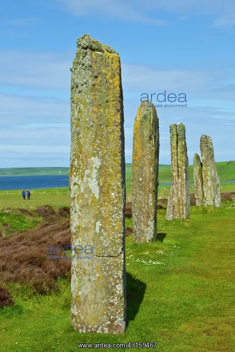 : Heart of Neolithic Orkney : Heart of Neolithic Orkney