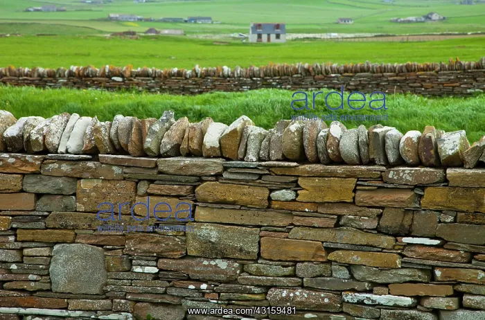 : Heart of Neolithic Orkney : Heart of Neolithic Orkney