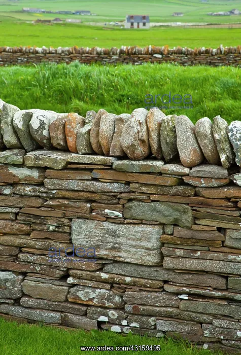 : Heart of Neolithic Orkney : Heart of Neolithic Orkney