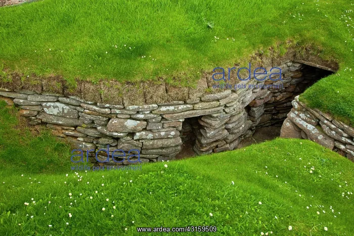 : Heart of Neolithic Orkney : Heart of Neolithic Orkney