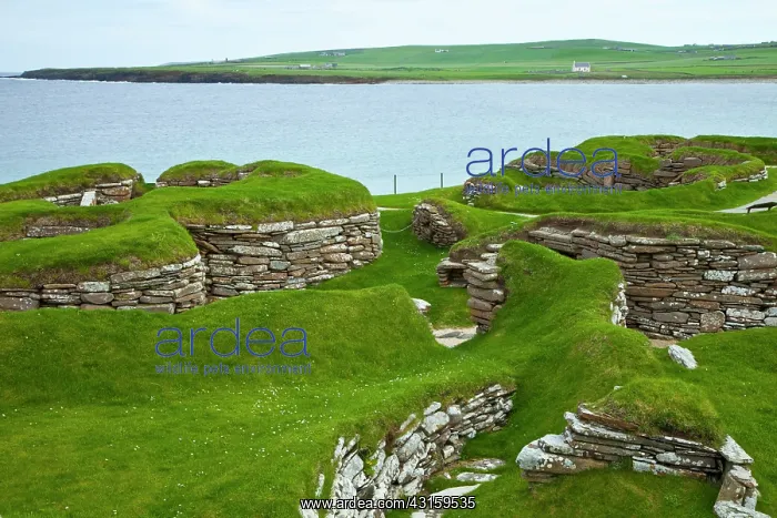 : Heart of Neolithic Orkney : Heart of Neolithic Orkney