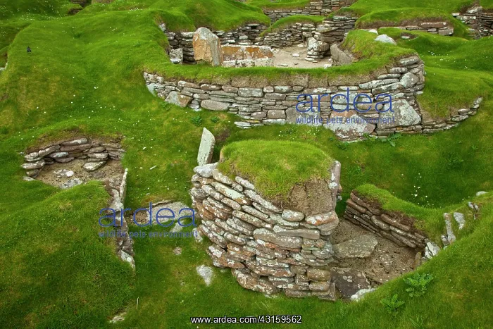 : Heart of Neolithic Orkney : Heart of Neolithic Orkney