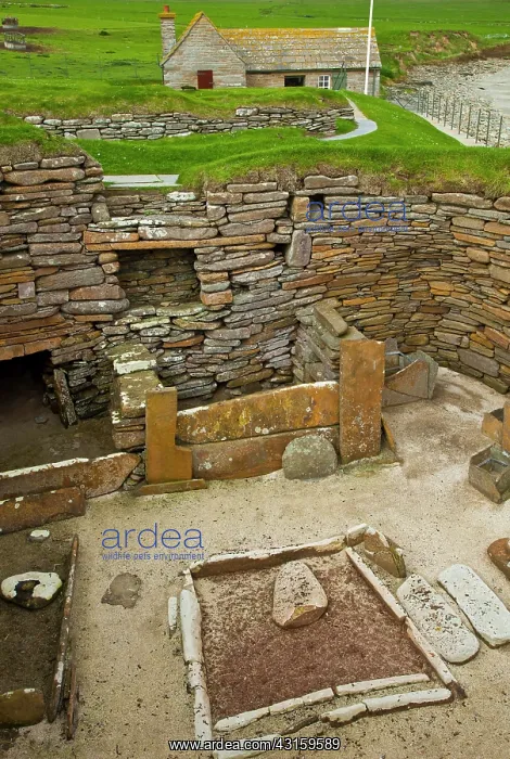 : Heart of Neolithic Orkney : Heart of Neolithic Orkney