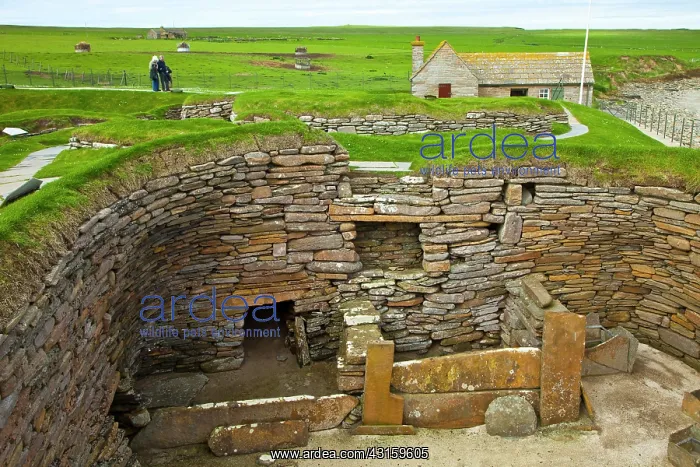: Heart of Neolithic Orkney : Heart of Neolithic Orkney