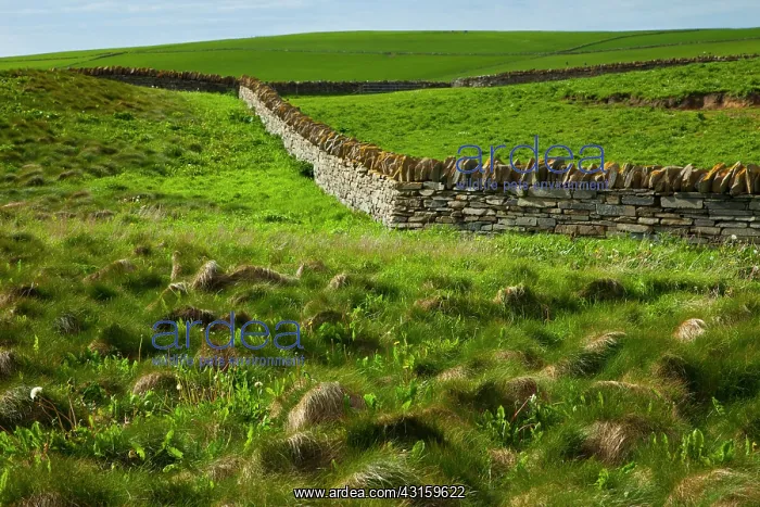 : Heart of Neolithic Orkney : Heart of Neolithic Orkney