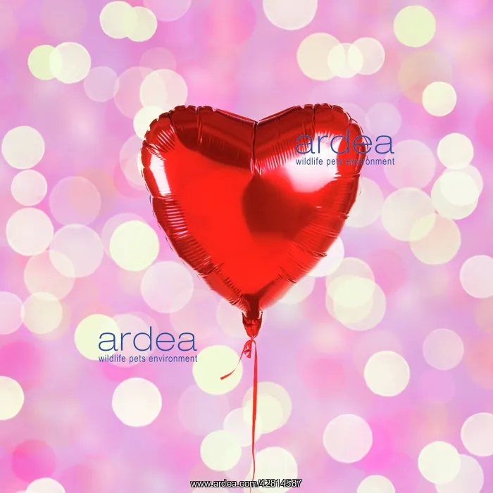  : Heart shaped balloon on light background, bokeh