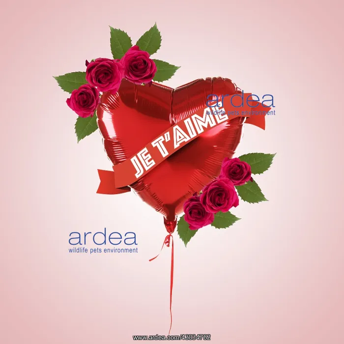  : Heart Shaped Hellium Balloon with roses leaves