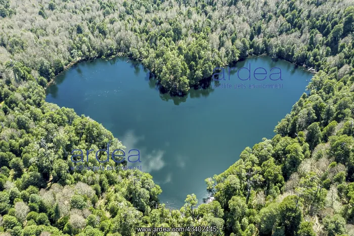 : Heart-shaped lake Laguna Corazon, near Liquine : Heart-shaped lake Laguna Corazon, near Liquine