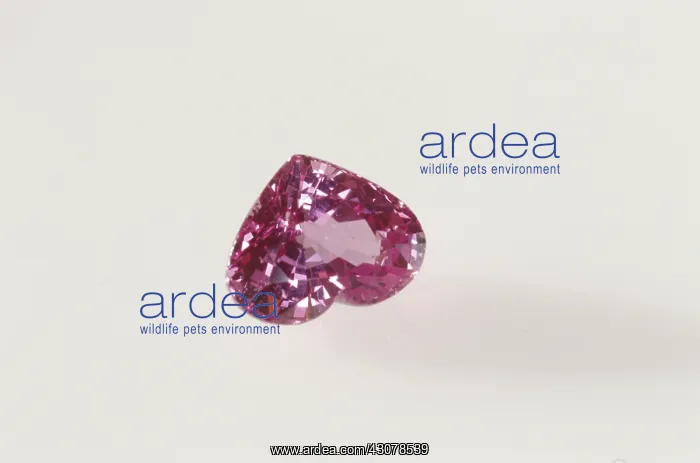 : Heart-shaped sapphire : Heart-shaped sapphire