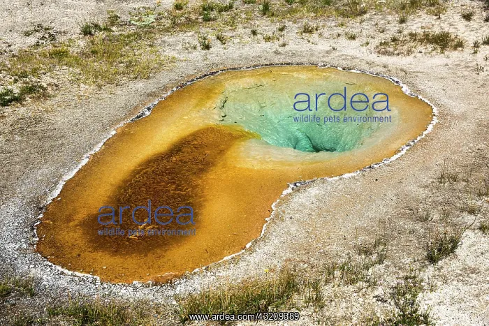 : Heart Spring In the Yellowstone National Park. Wyoming. USA : Heart Spring In the Yellowstone National Park. Wyoming. USA
