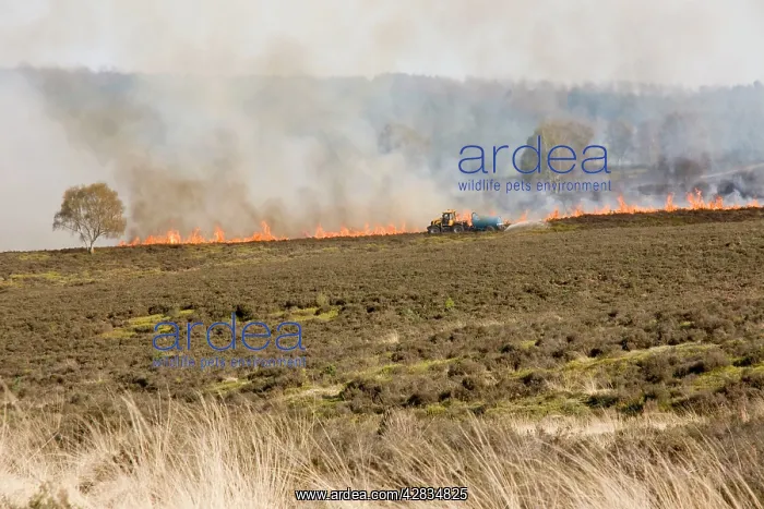 : Heath fire with water sprayer : Heath fire with water sprayer