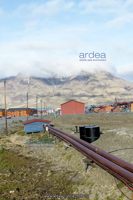 : Heating System Pipes - Longyearbyen - considered : Heating System Pipes - Longyearbyen - considered