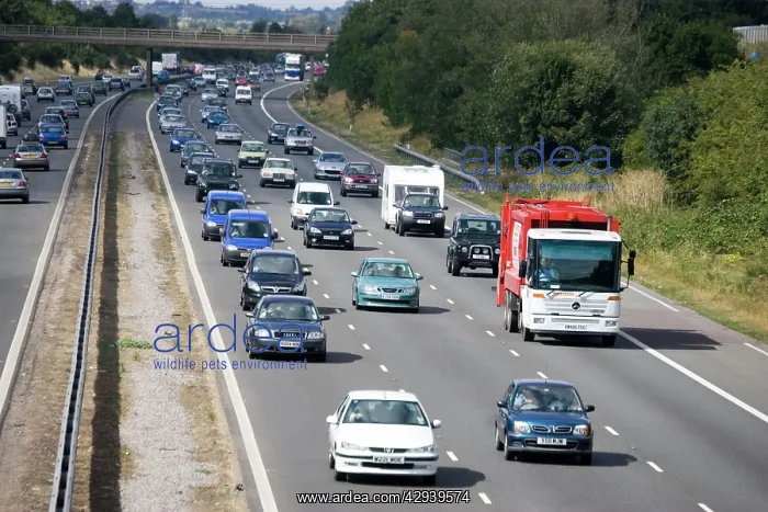 : Heavy motorway traffic on M5 on Bank Holiday : Heavy motorway traffic on M5 on Bank Holiday