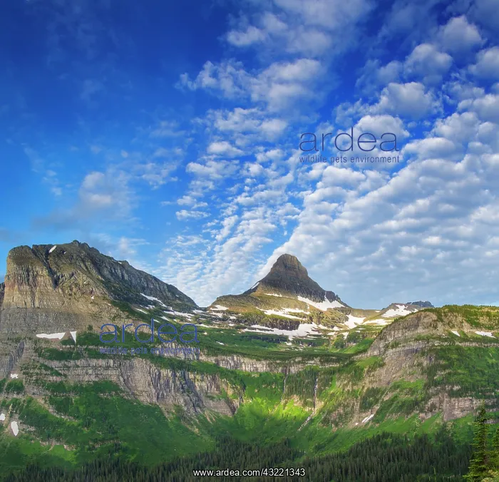 : Heavy Runner and Reynolds Mountain in morning : Heavy Runner and Reynolds Mountain in morning
