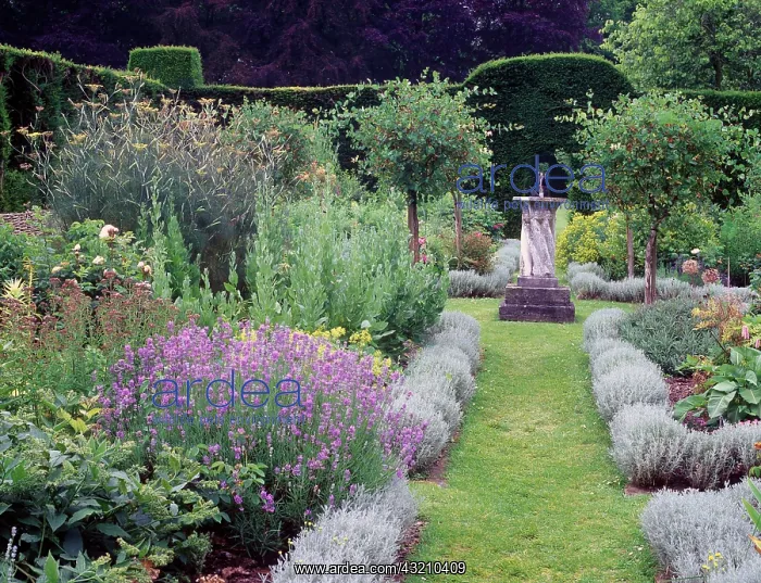 : Hedged garden with pretty beds edged in Santolina