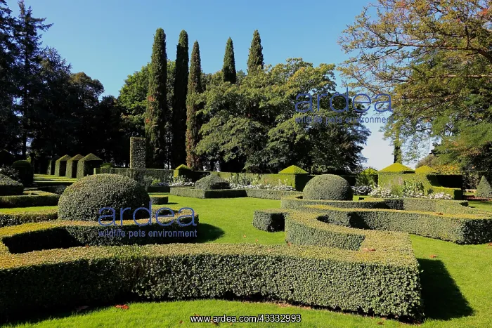 : Hedges cut into shape, Jardins du Manoir dEyrignac : Hedges cut into shape, Jardins du Manoir dEyrignac