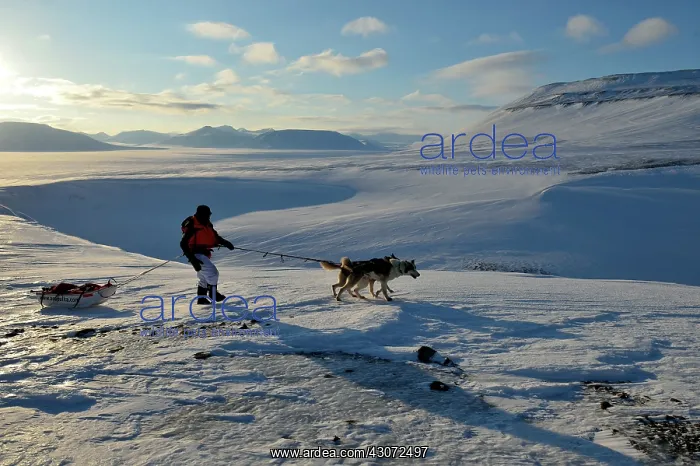 : On the heights of Agardbukta : On the heights of Agardbukta