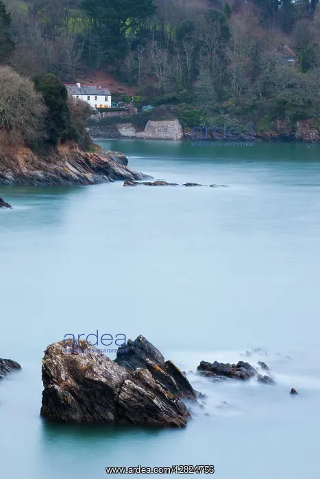 : Helford Estuary - view towards Durgan : Helford Estuary - view towards Durgan