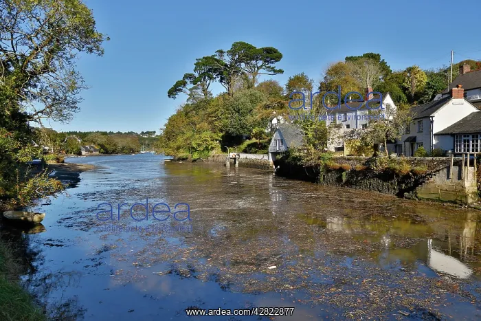 : Helford Village and River : Helford Village and River