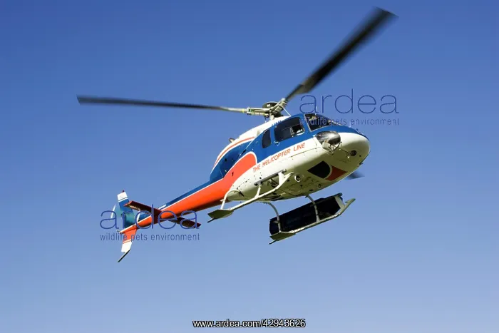 : Helicopter - flight for Mount Cook, tourists viewing : Helicopter - flight for Mount Cook, tourists viewing