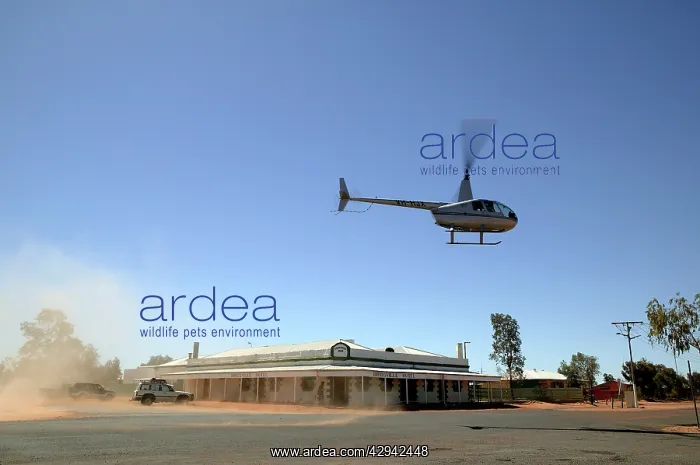 : Helicopter landing at Birdsville Pub.Birdsville : Helicopter landing at Birdsville Pub.Birdsville