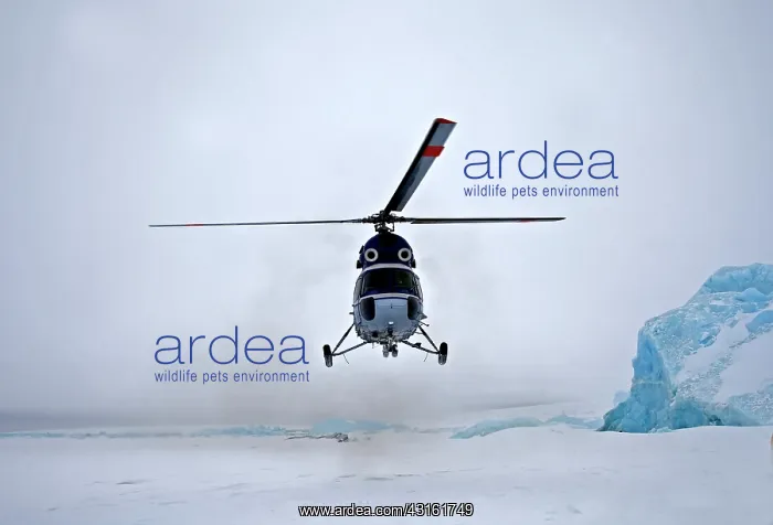 : Helicopter of the Russian icebreaker Kapitan Khlebnikov land : Helicopter of the Russian icebreaker Kapitan Khlebnikov land