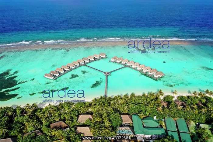 : Helicopter view, Six Senses Kanuhura Island Resort : Helicopter view, Six Senses Kanuhura Island Resort