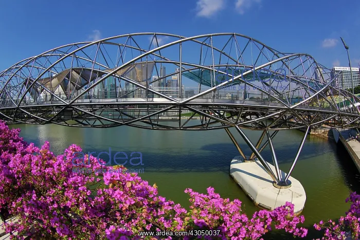 : The Helix Bridge in Singapore, Republic of Singapore Pa : The Helix Bridge in Singapore, Republic of Singapore Pa