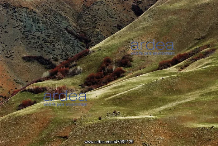 : Hell's Canyon : Hell's Canyon