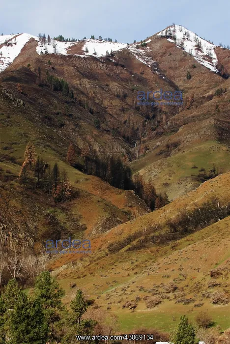 : Hell's Canyon : Hell's Canyon