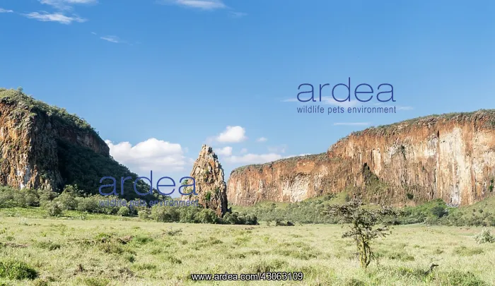 : Hell's Gate National Park in Kenya near : Hell's Gate National Park in Kenya near